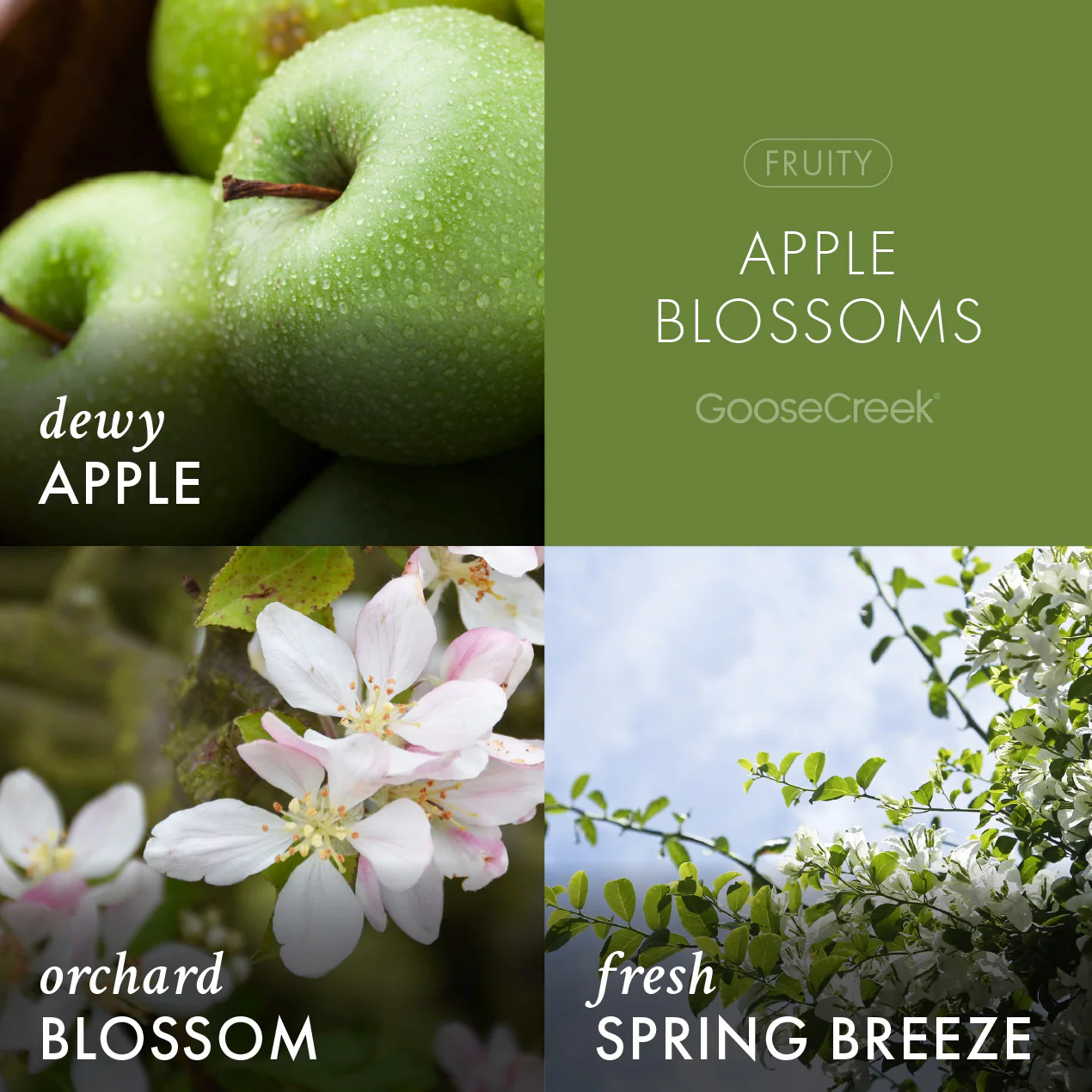 Apple Blossoms Lush Foaming Hand Soap - Image 2