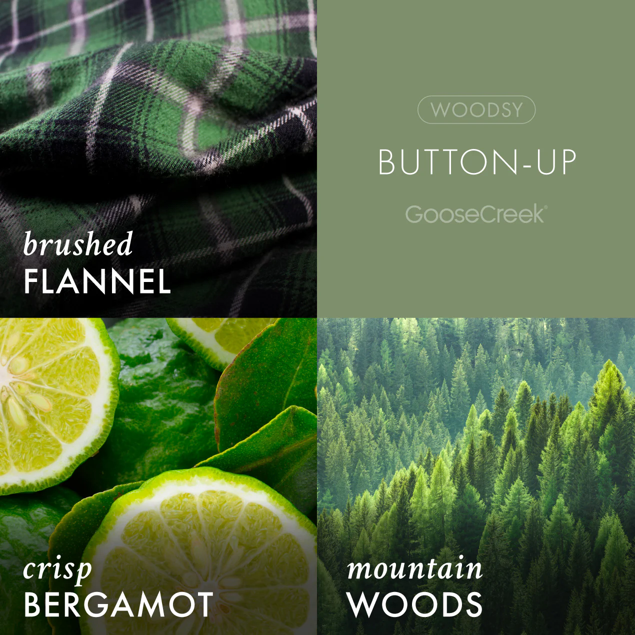 Button-Up Lush Foaming Hand Soap - Image 2