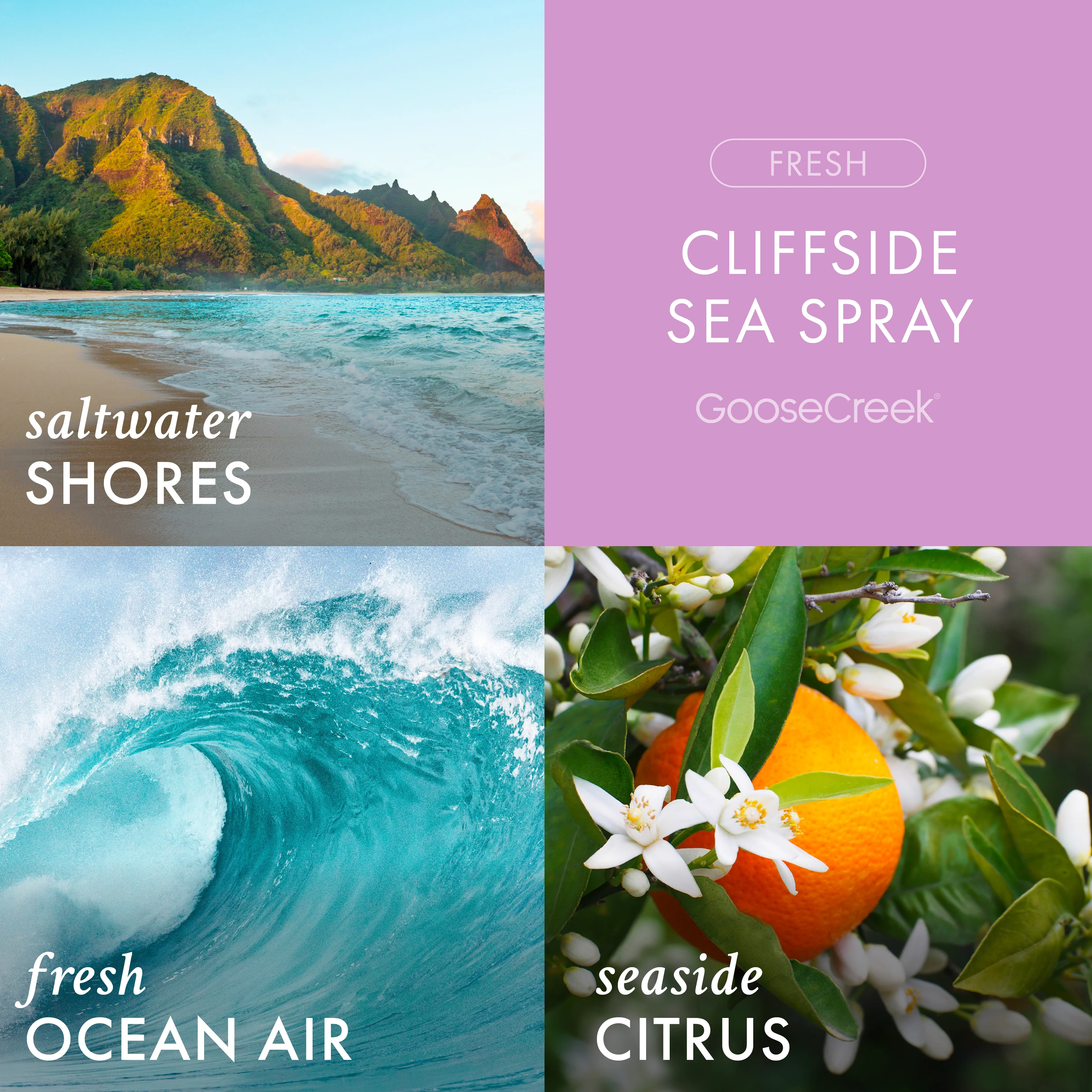 Cliffside Sea Spray 3-Wick Candle - Image 2