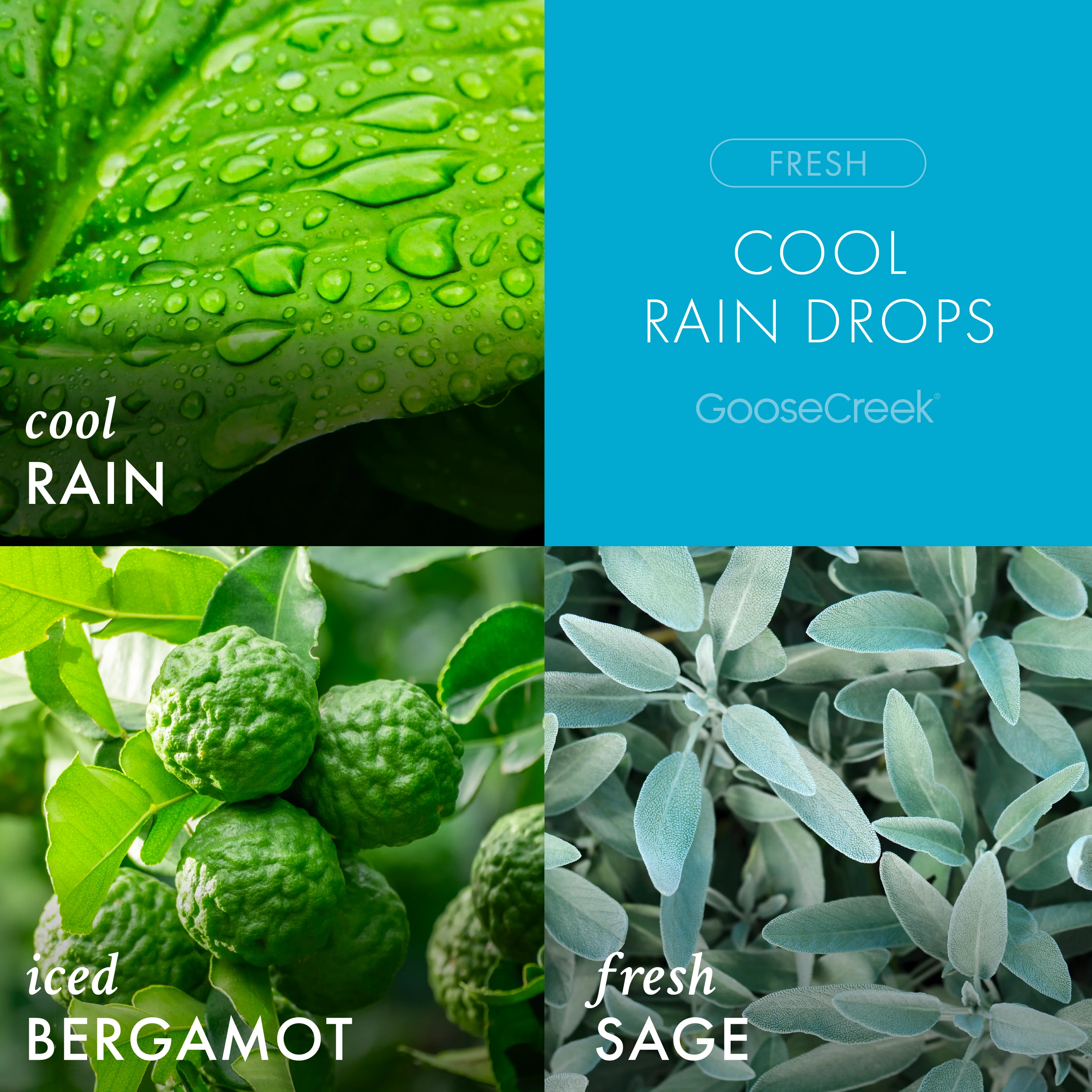 Cool Rain Drops 3-Wick Candle - Image 2