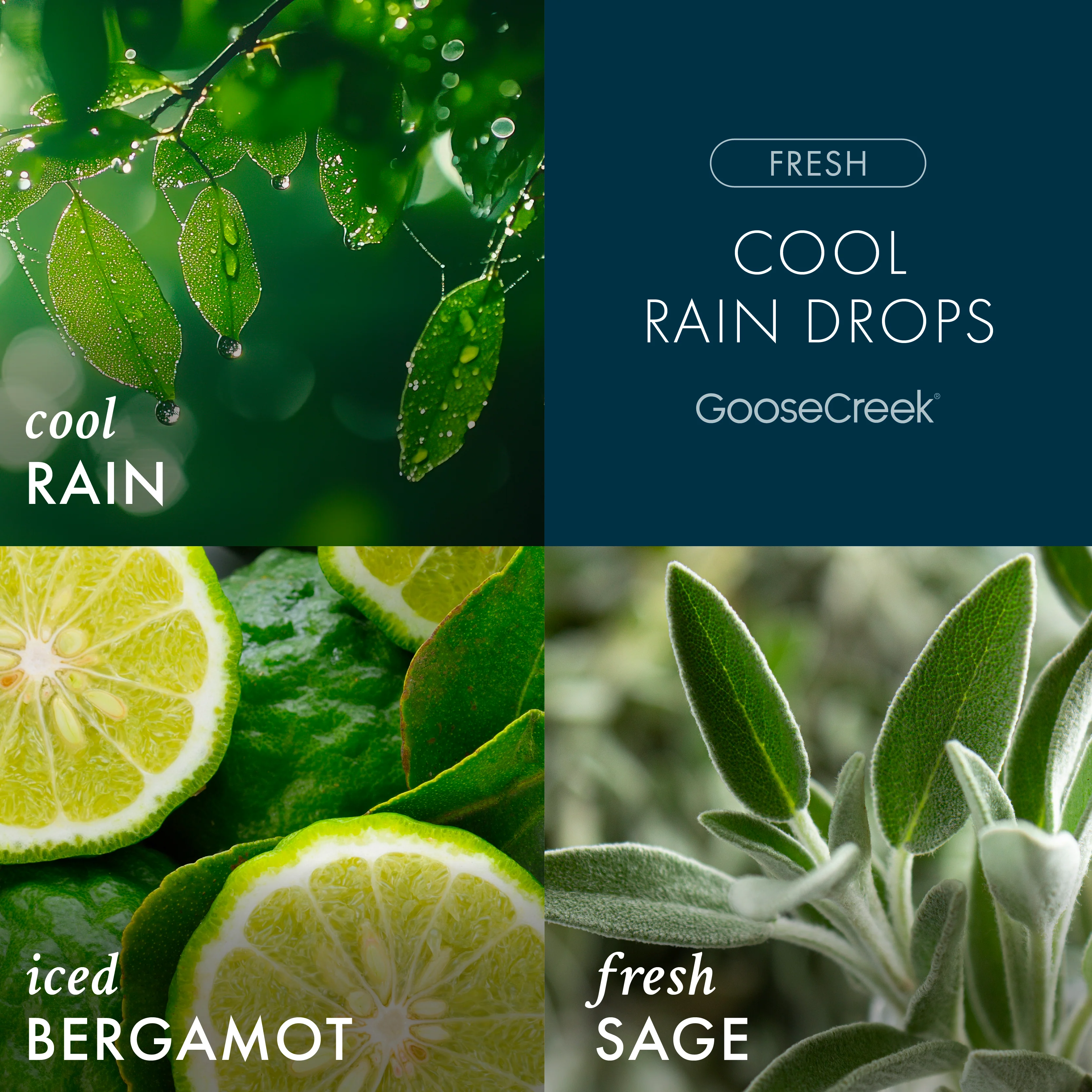 Cool Rain Drops 3-Wick Candle - Image 2