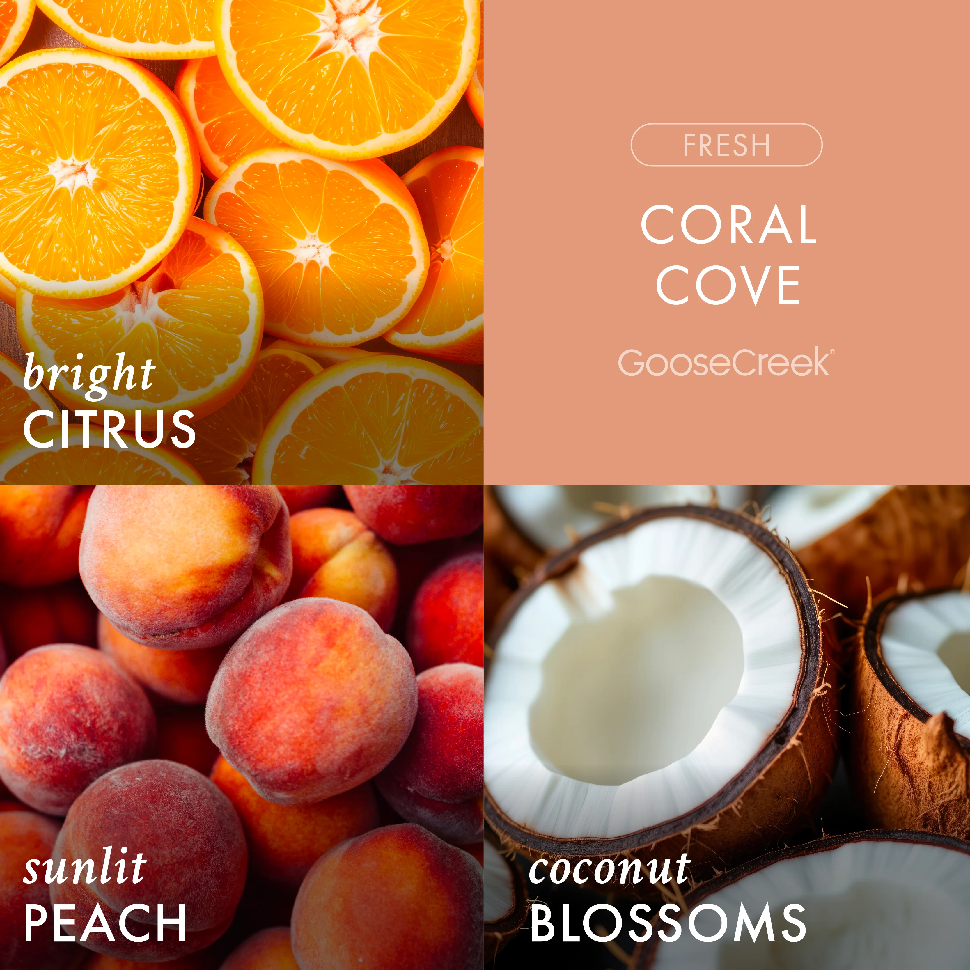 Coral Cove 3-Wick Candle - Image 2