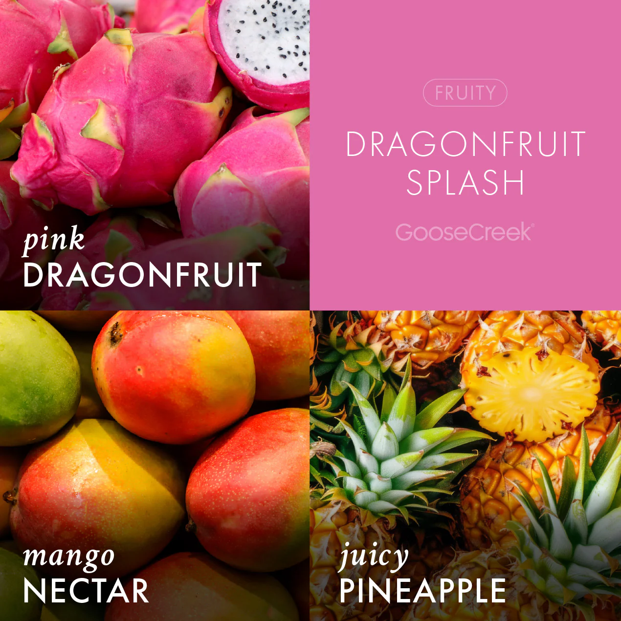 Dragonfruit Splash Plug-In & Refill Bundle - Image 2