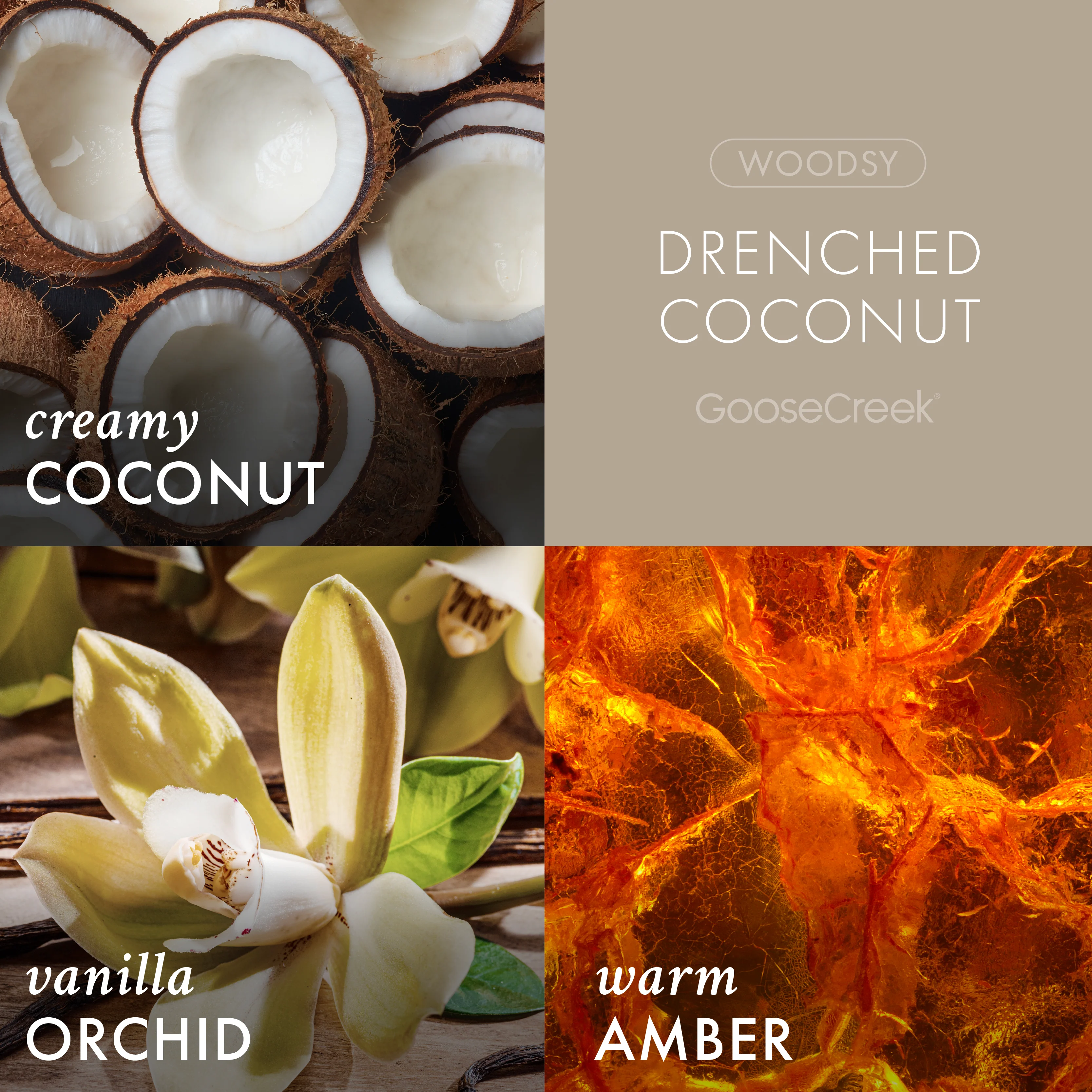 Drenched Coconut 3-Wick Candle - Image 2