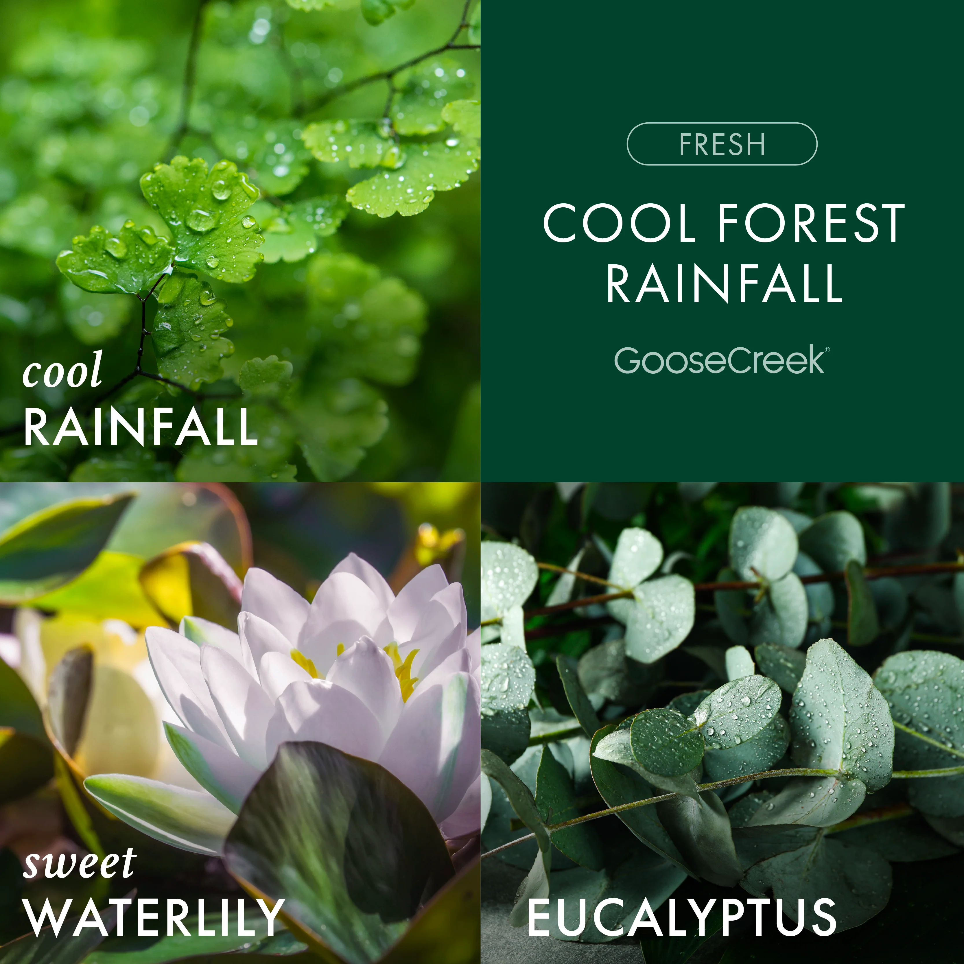 Cool Forest Rainfall 3-Wick Candle - Image 2