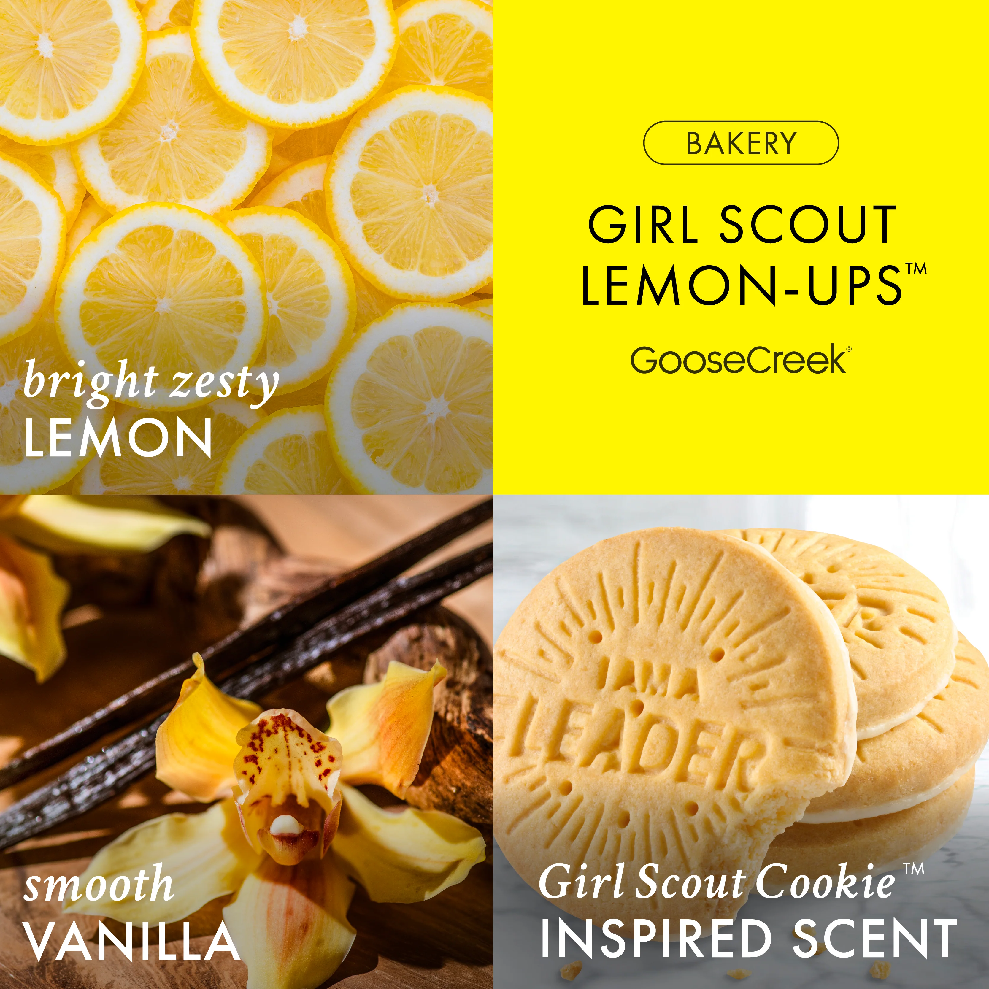 Girl Scout Lemon-Ups™ 3-Wick Candle - Image 2