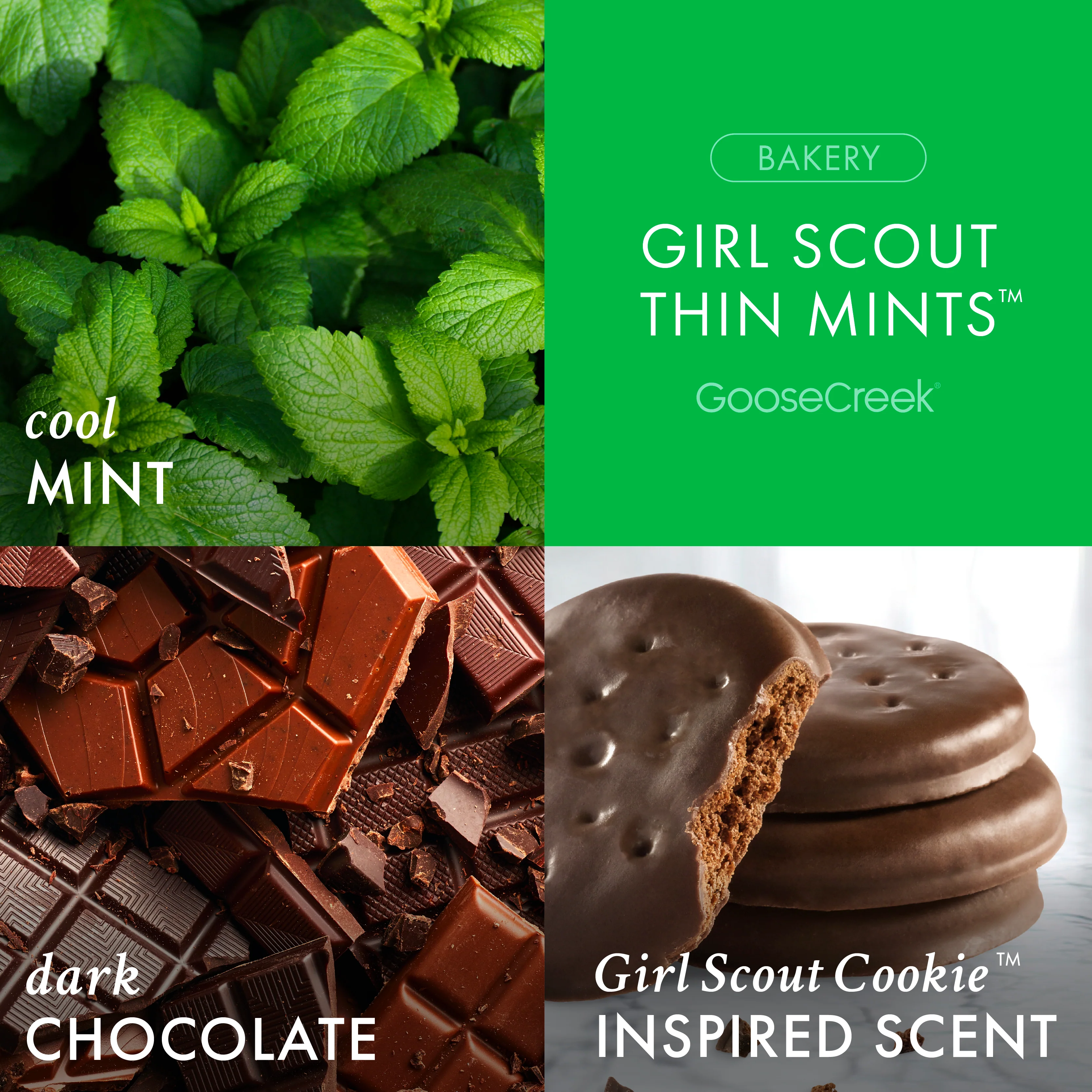 Girl Scout Thin Mint™ 3-Wick Candle - Image 2