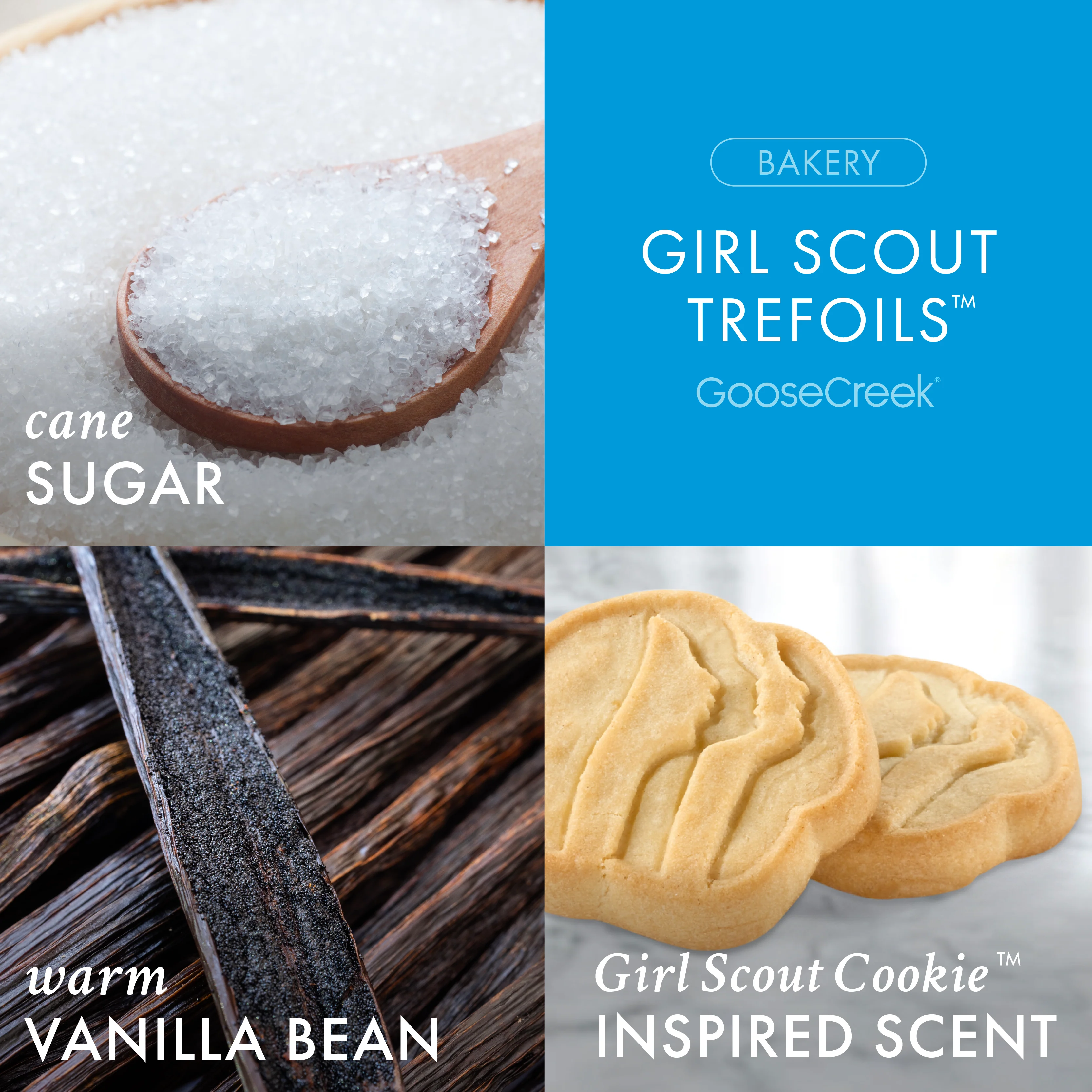 Girl Scout Trefoils™ 3-Wick Candle - Image 2
