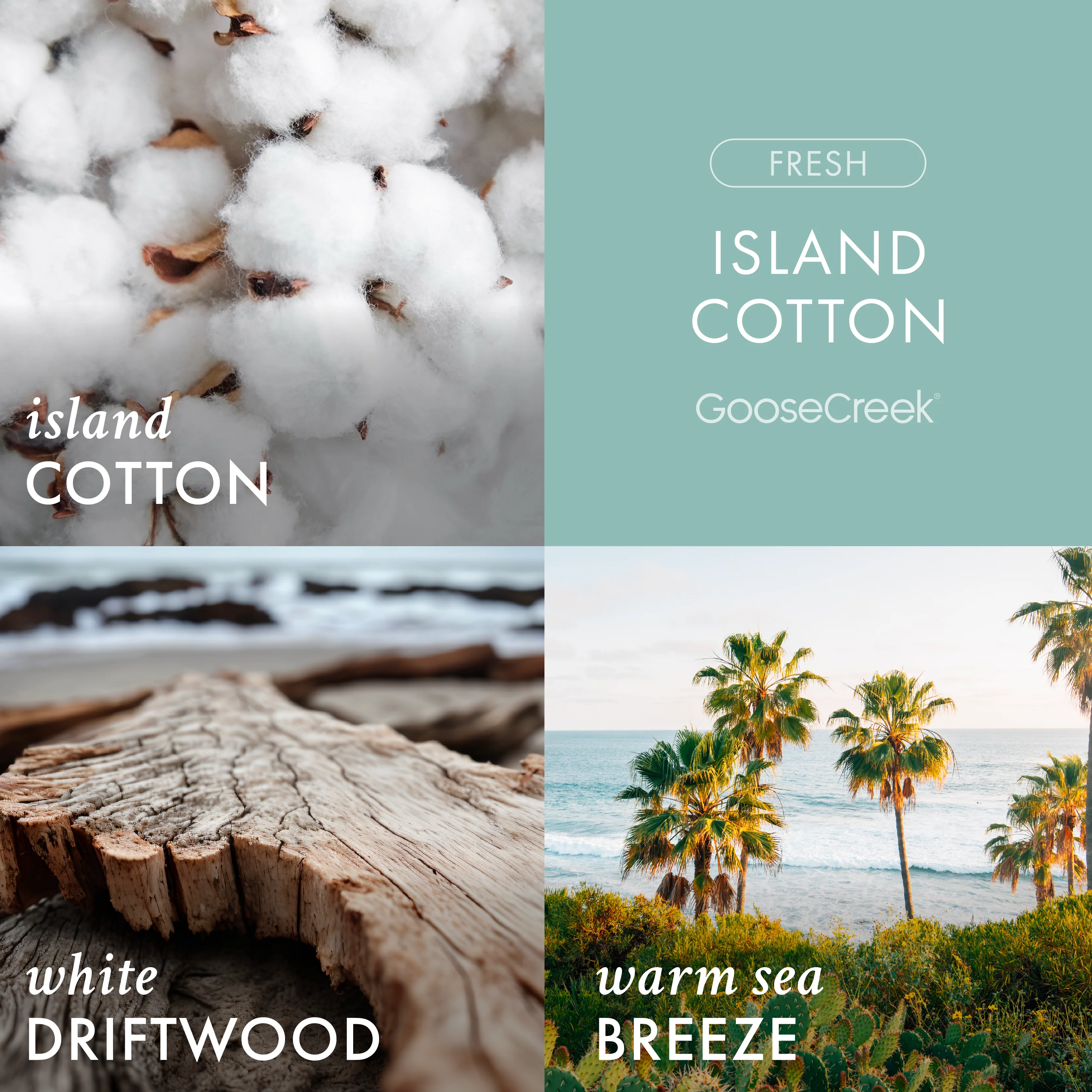 Island Cotton 3-Wick Candle - Image 2