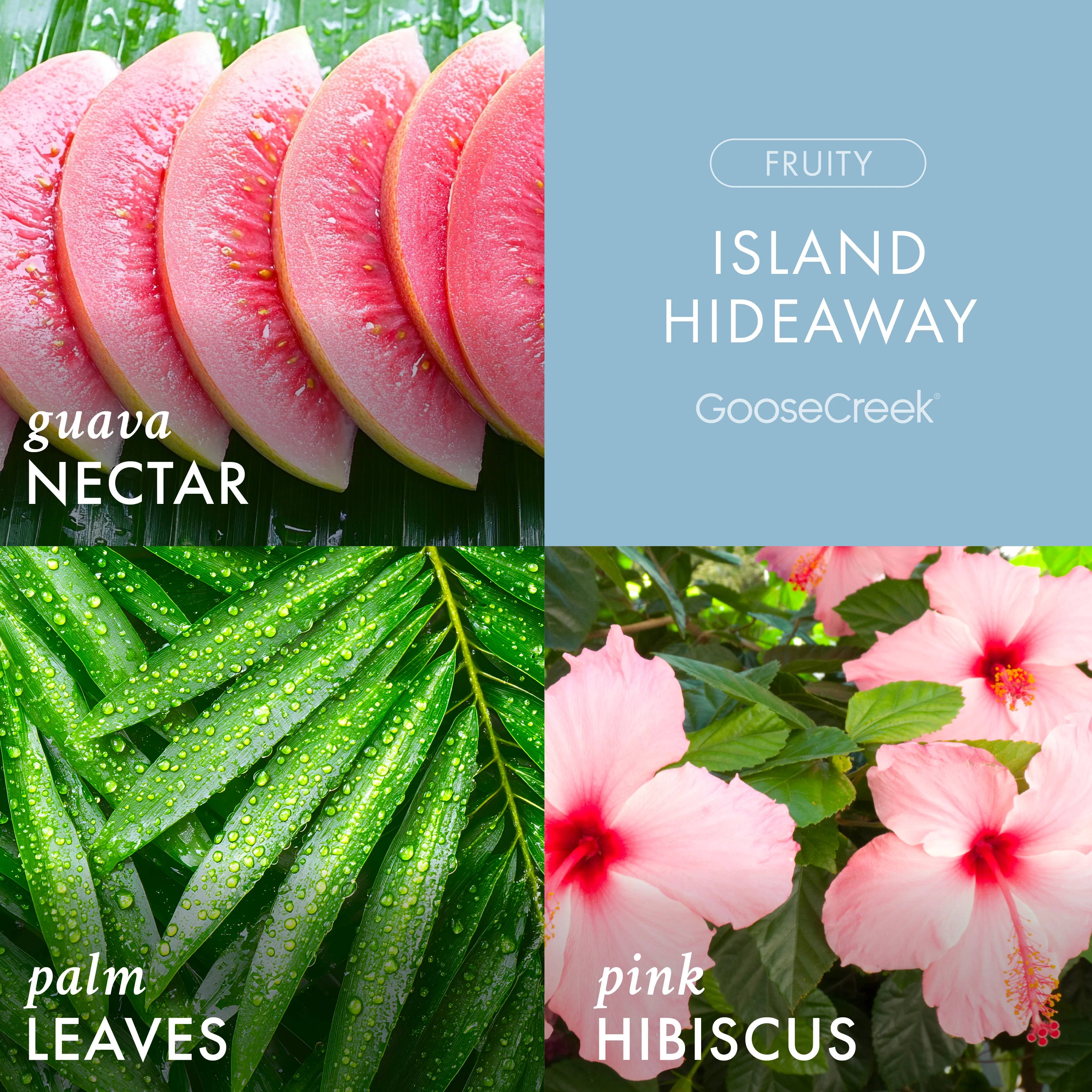 Island Hideaway 3-Wick Candle - Image 2