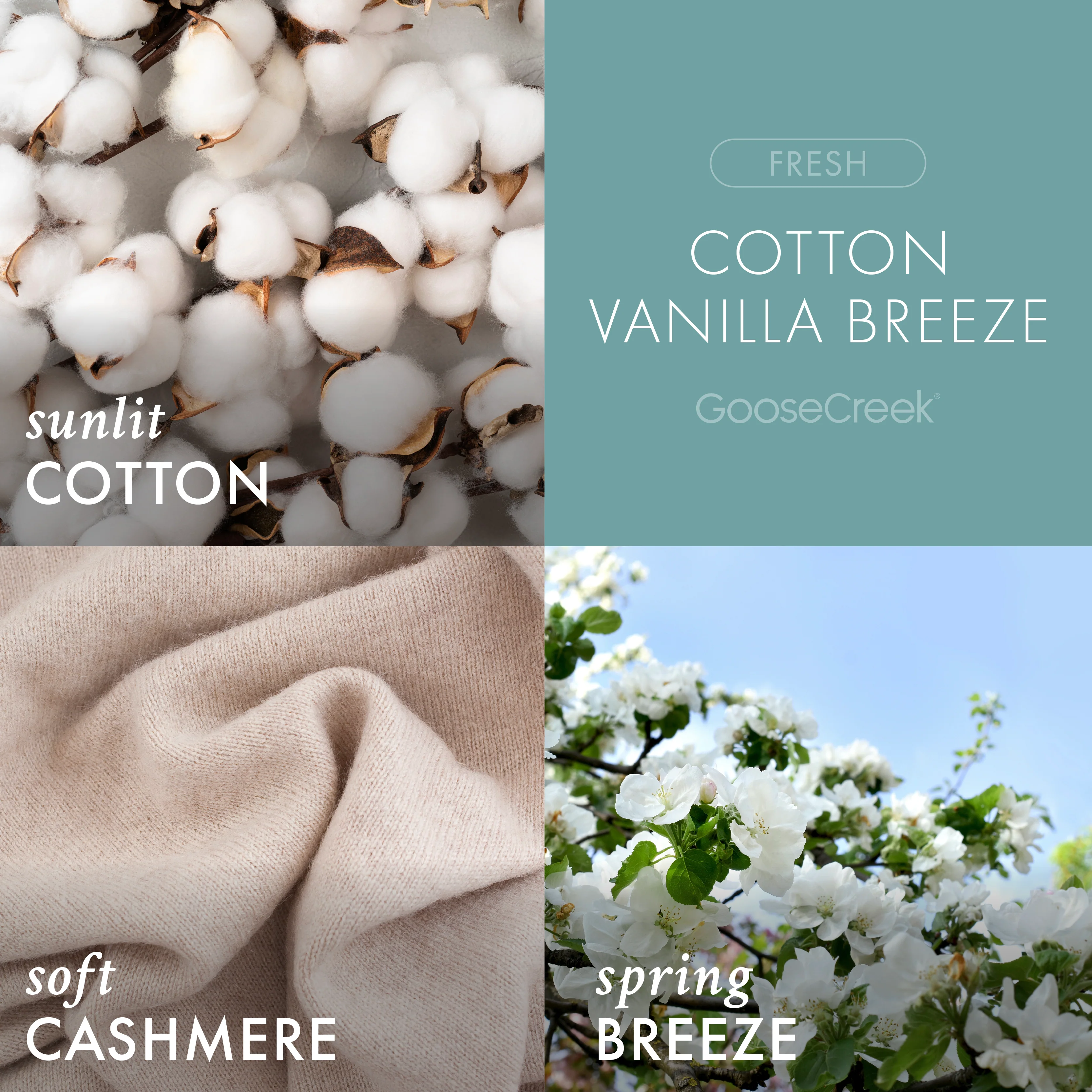 Cotton Vanilla Breeze Odor Eliminating 3-Wick Candle - Image 2