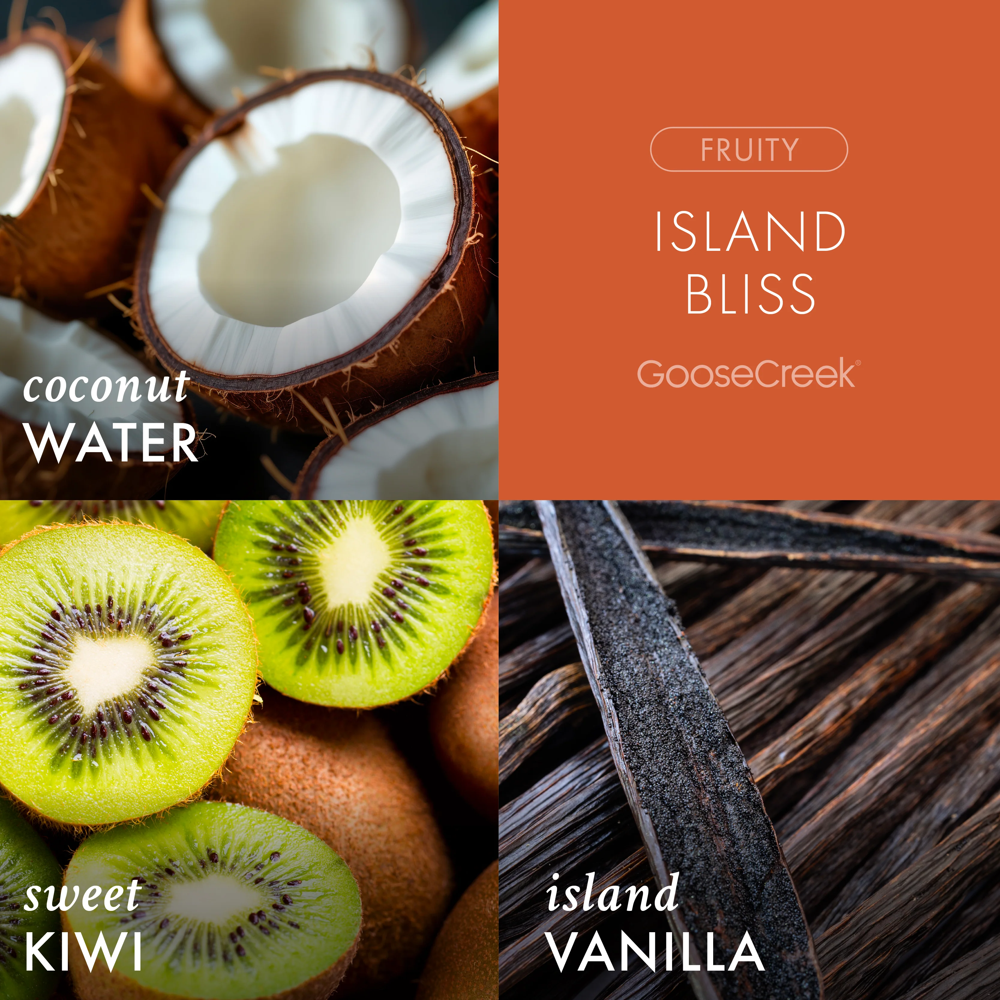 Island Bliss Odor Eliminating 3-Wick Candle - Image 2