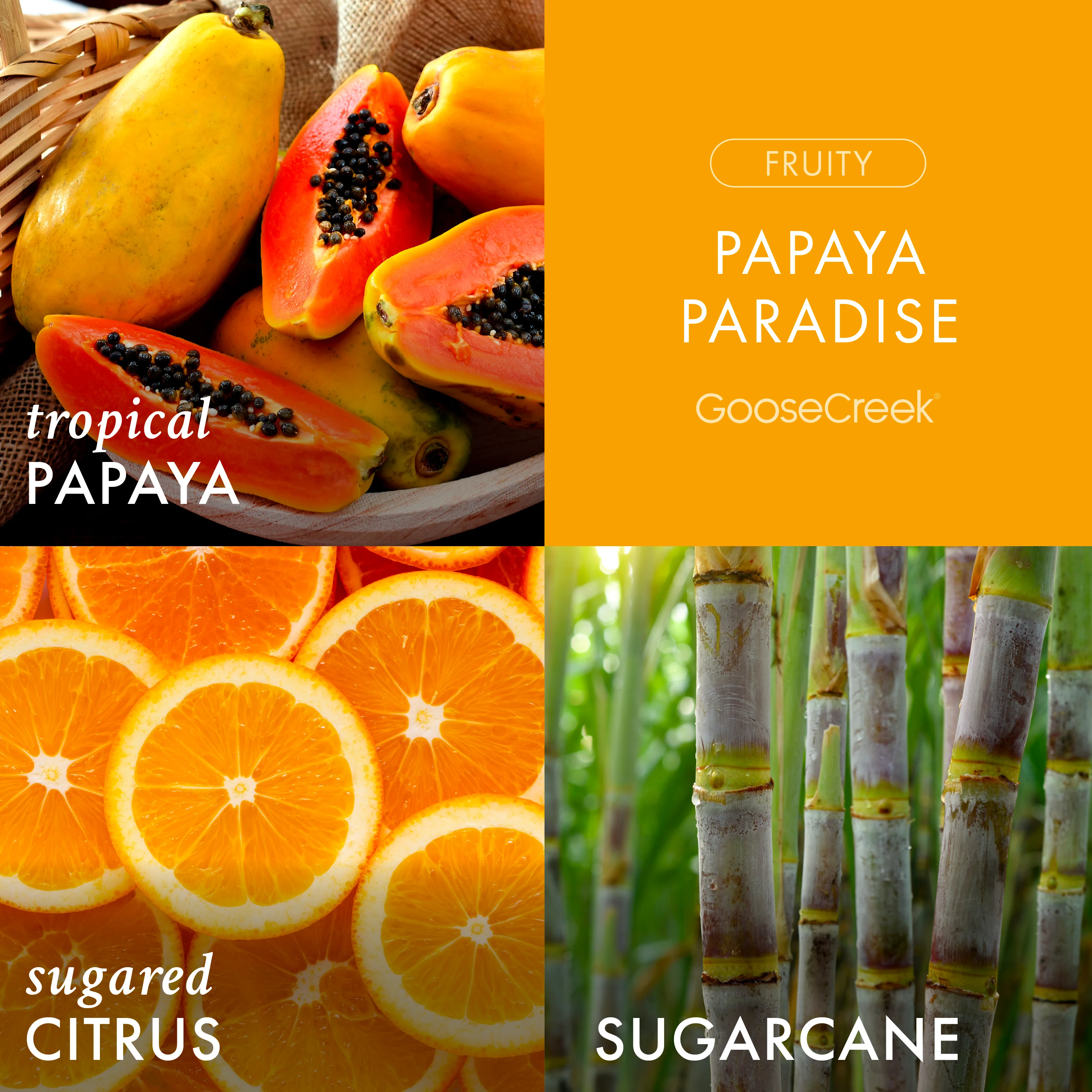 Papaya Paradise 3-Wick Candle - Image 2