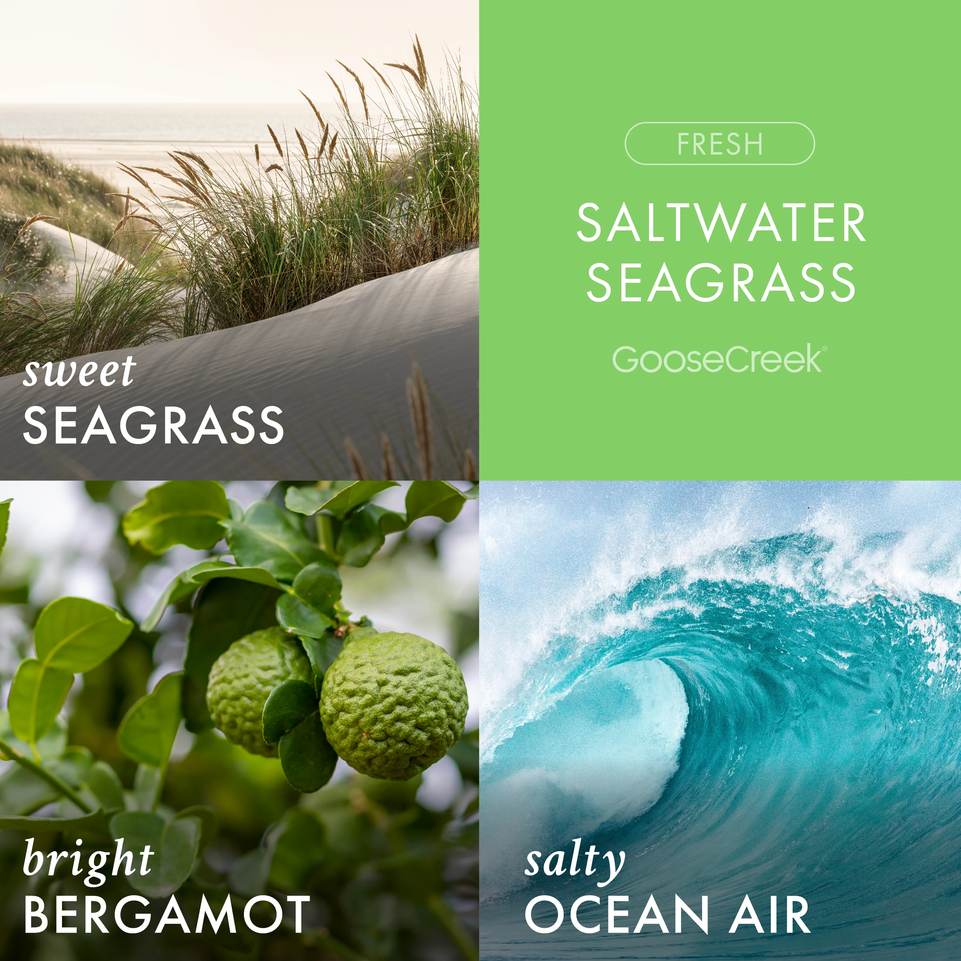 Saltwater Seagrass 3-Wick Candle - Image 2