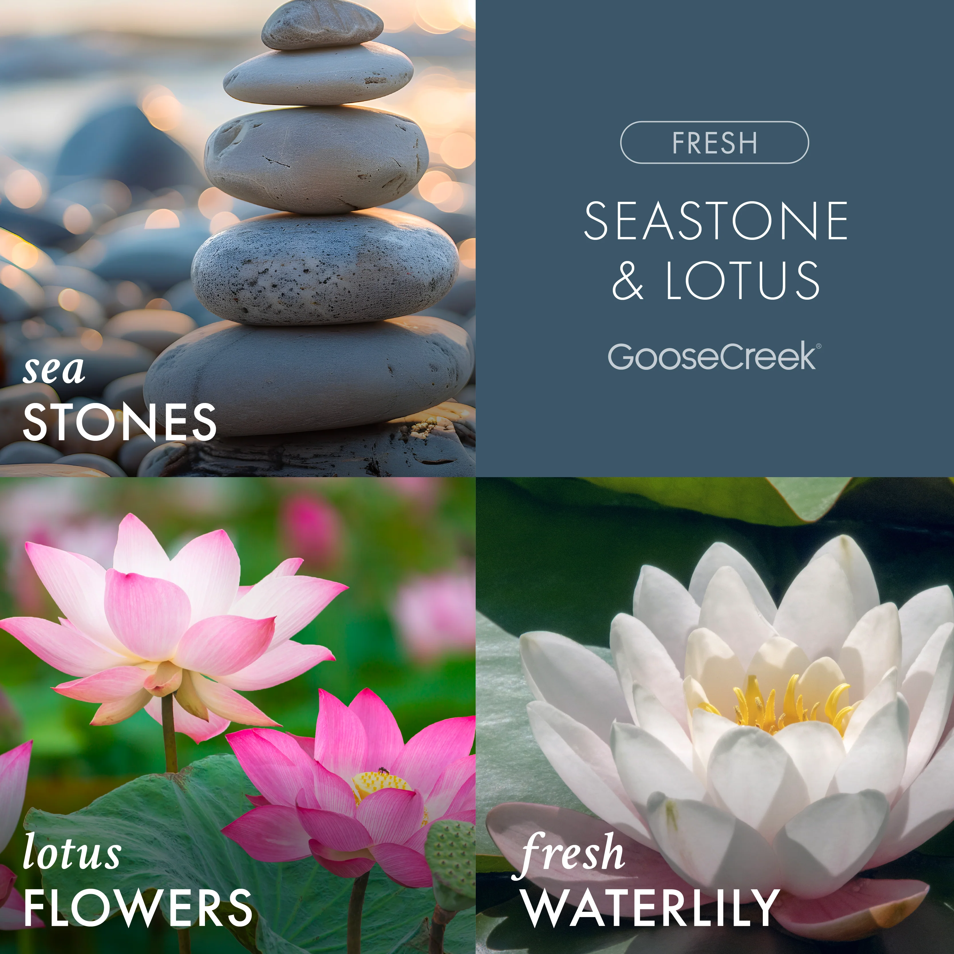Seastone & Lotus 3-Wick Candle - Image 2