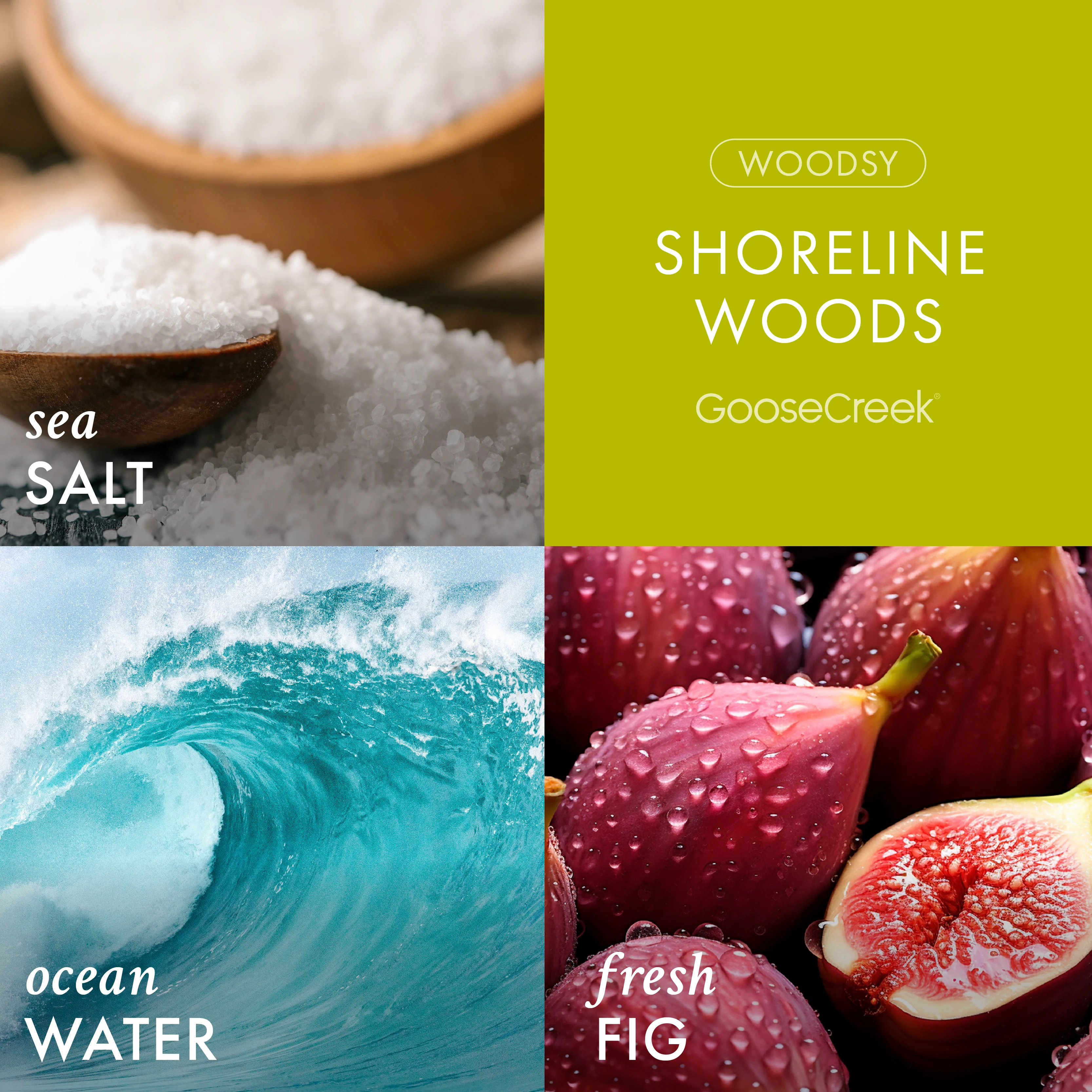 Shoreline Woods 3-Wick Candle - Image 2