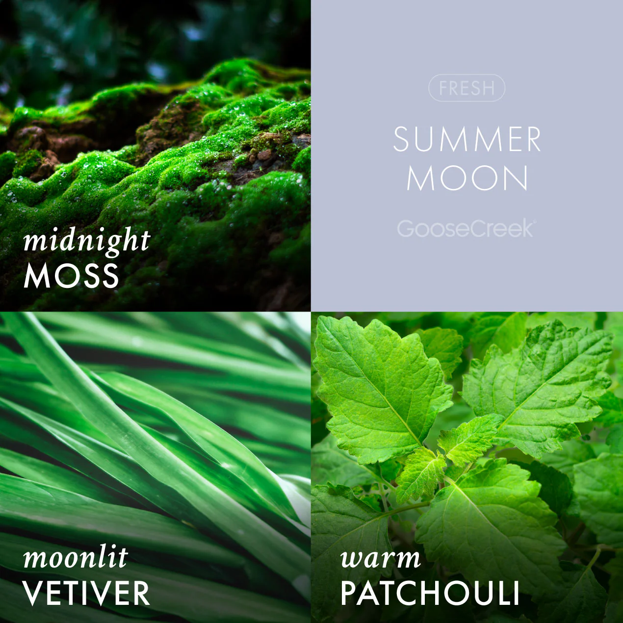 Summer Moon Plug-in Refill - Image 2