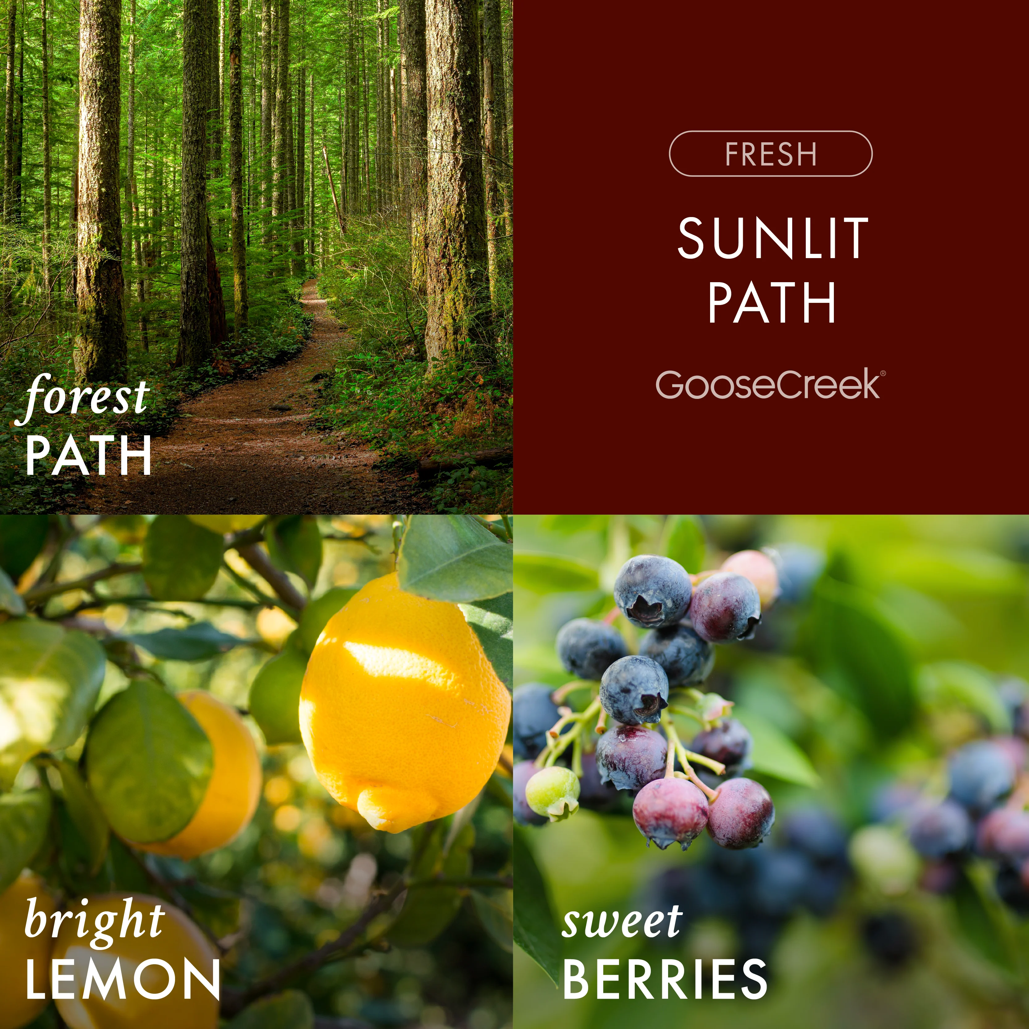Sunlit Path 3-Wick Candle - Image 2