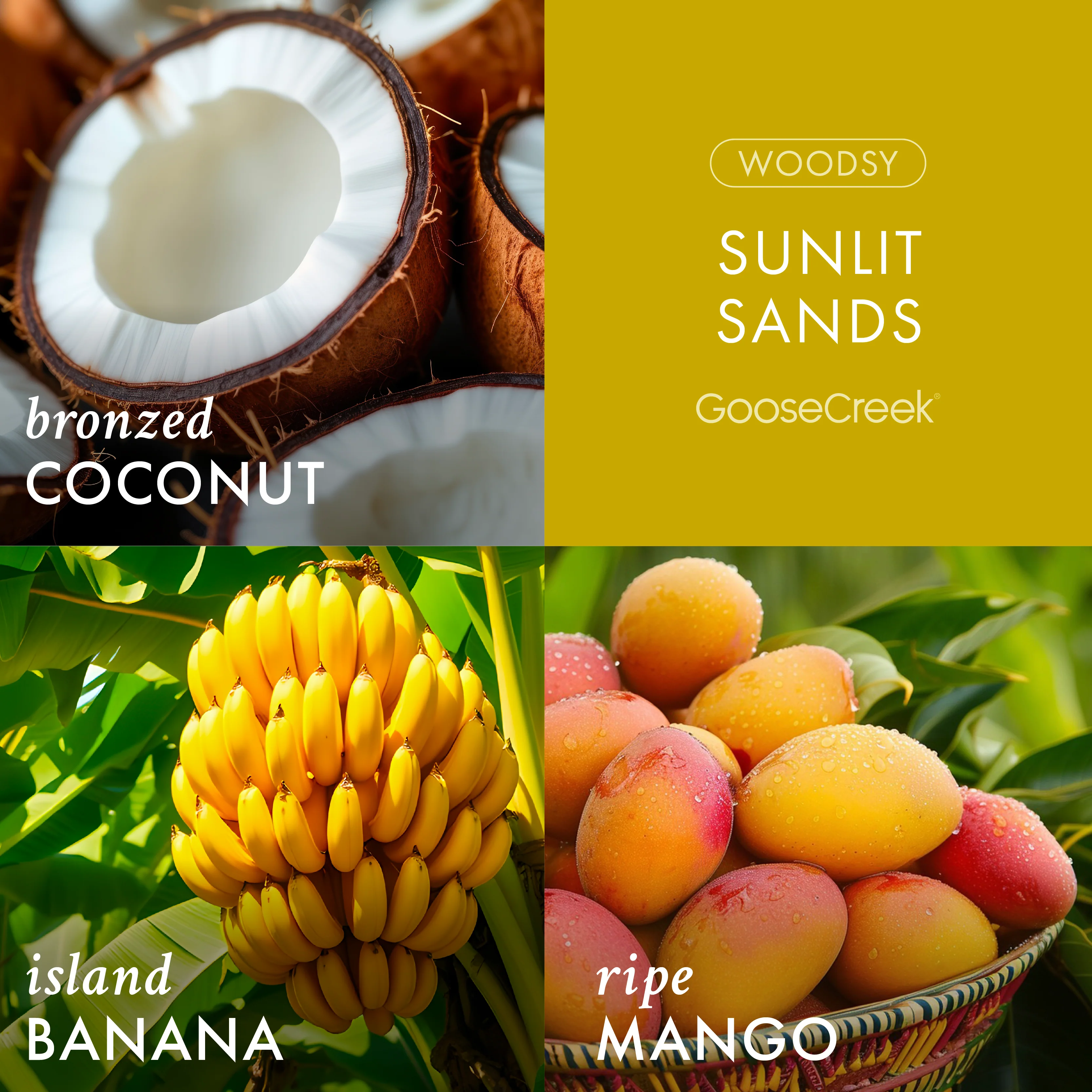 Sunlit Sands 3-Wick Candle - Image 2
