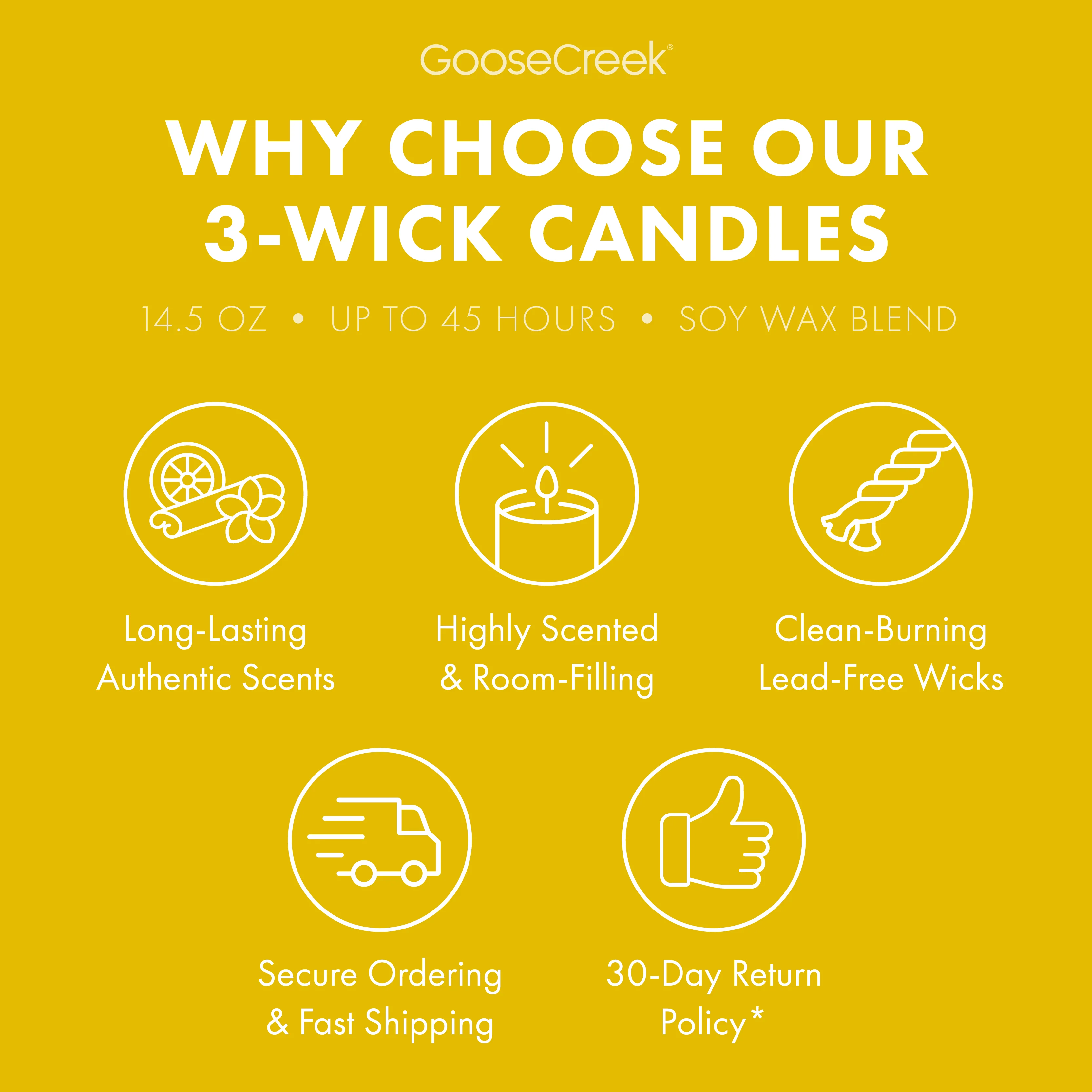The Wild Thornberry's Nickelodeon 3-Wick Candle - Image 4
