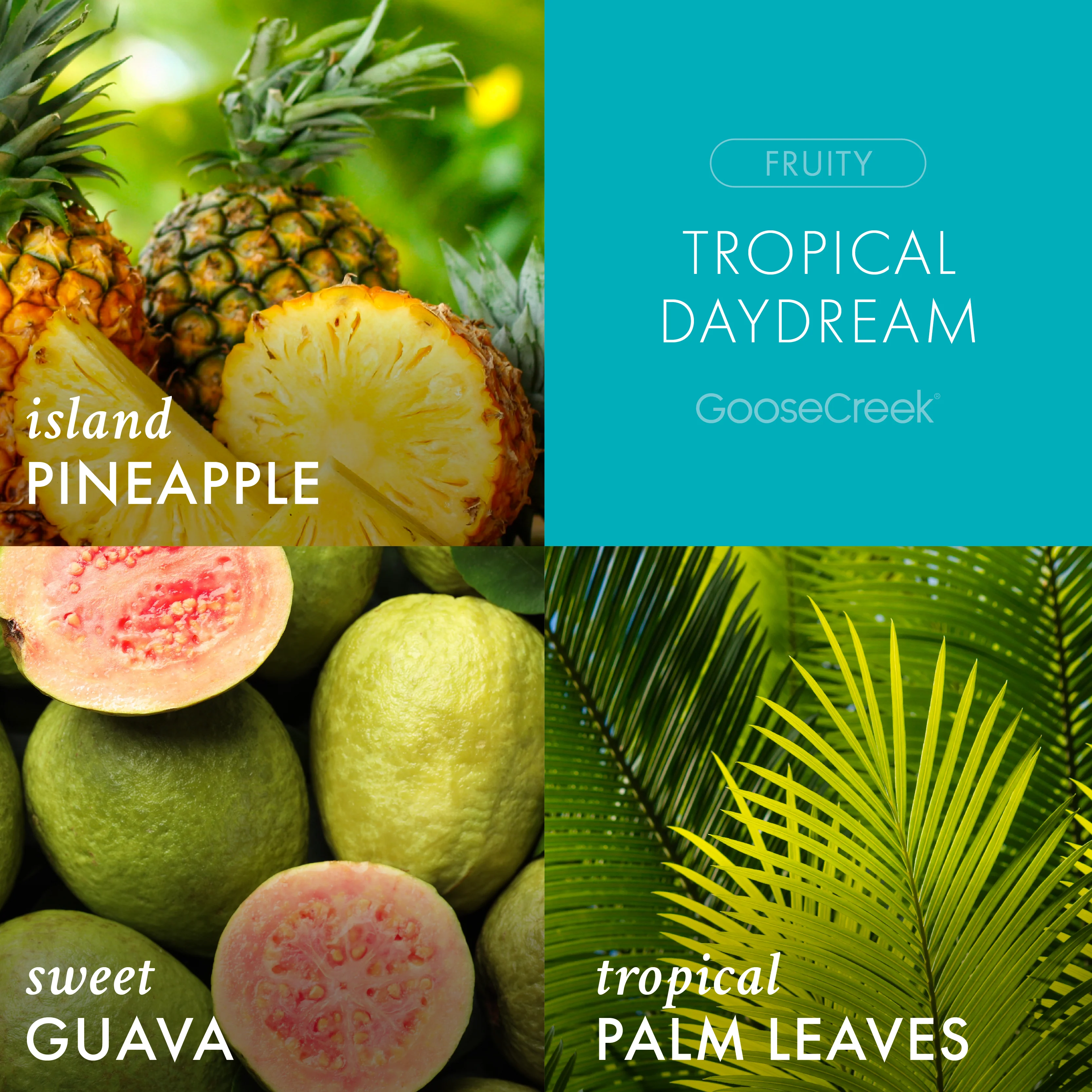 Tropical Daydream 3-Wick Candle - Image 2