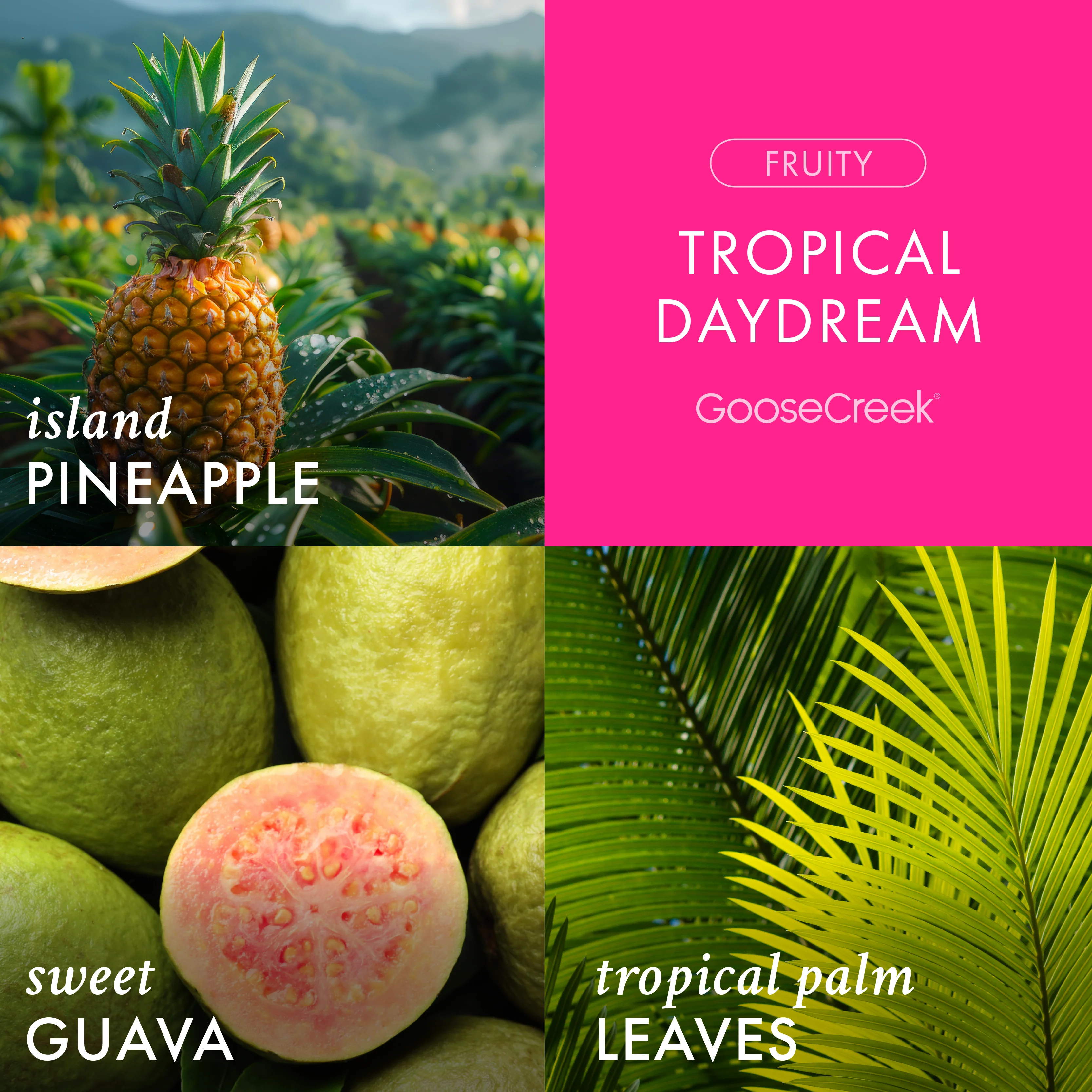 Tropical Daydream 3-Wick Candle - Image 2