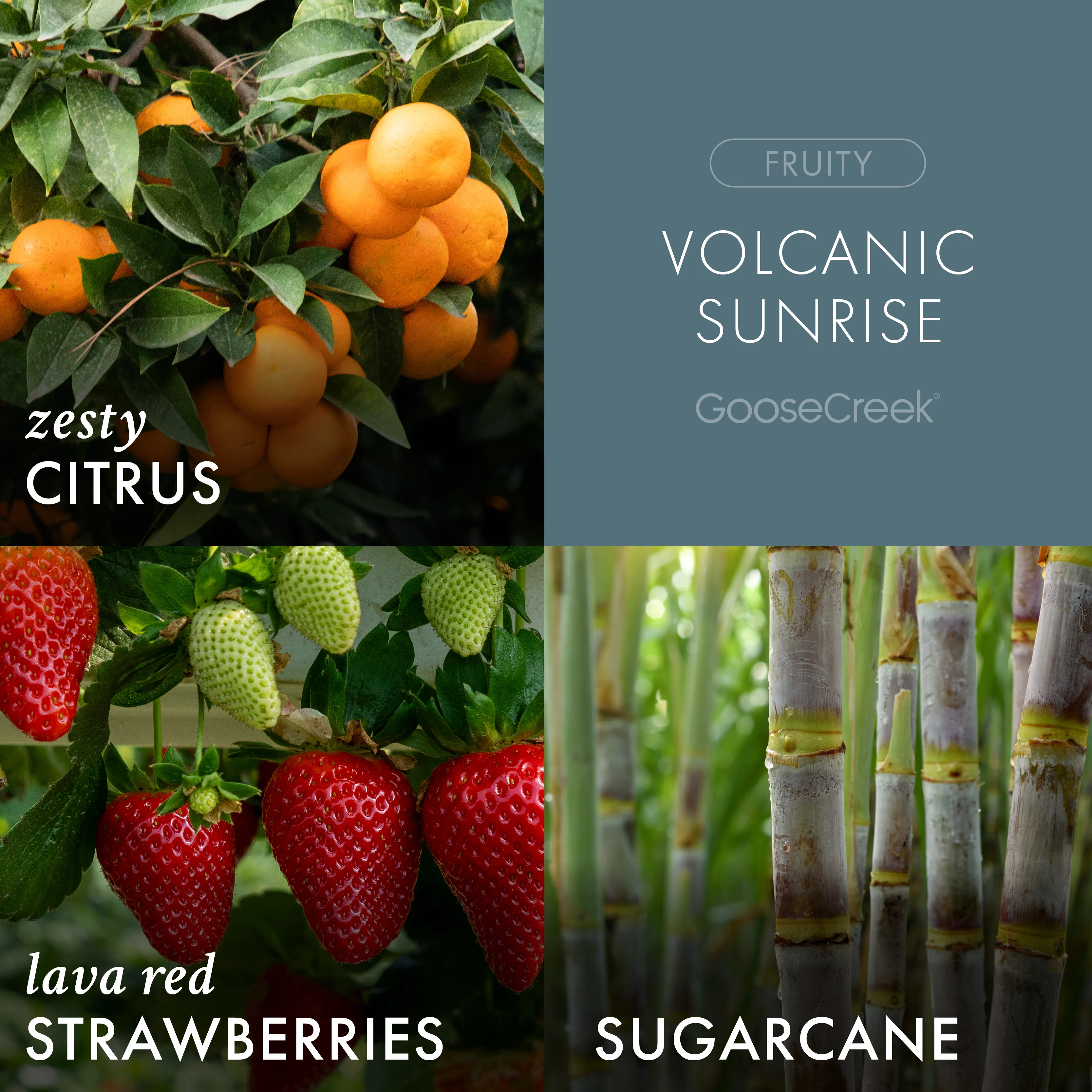 Volcanic Sunrise 7oz Single Wick Candle - Image 2
