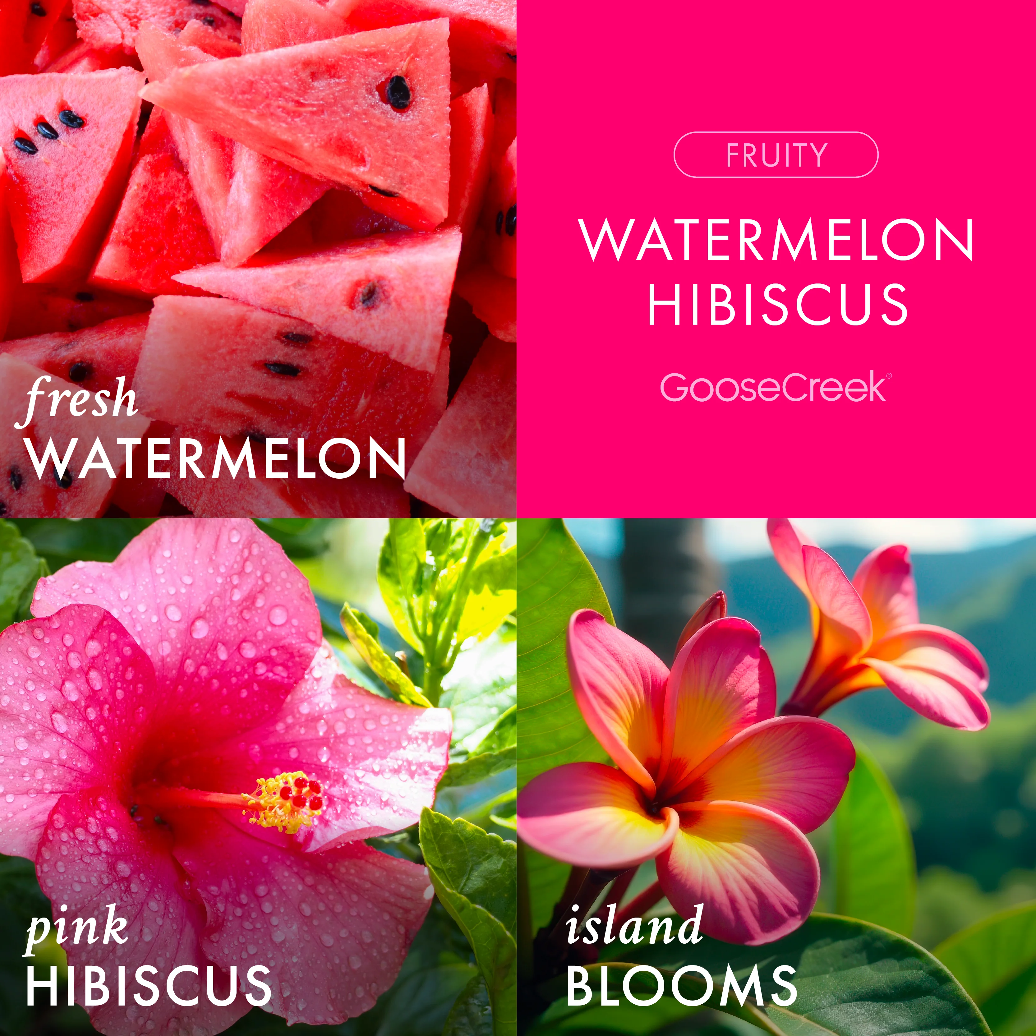 Watermelon Hibiscus 3-Wick Candle - Image 2
