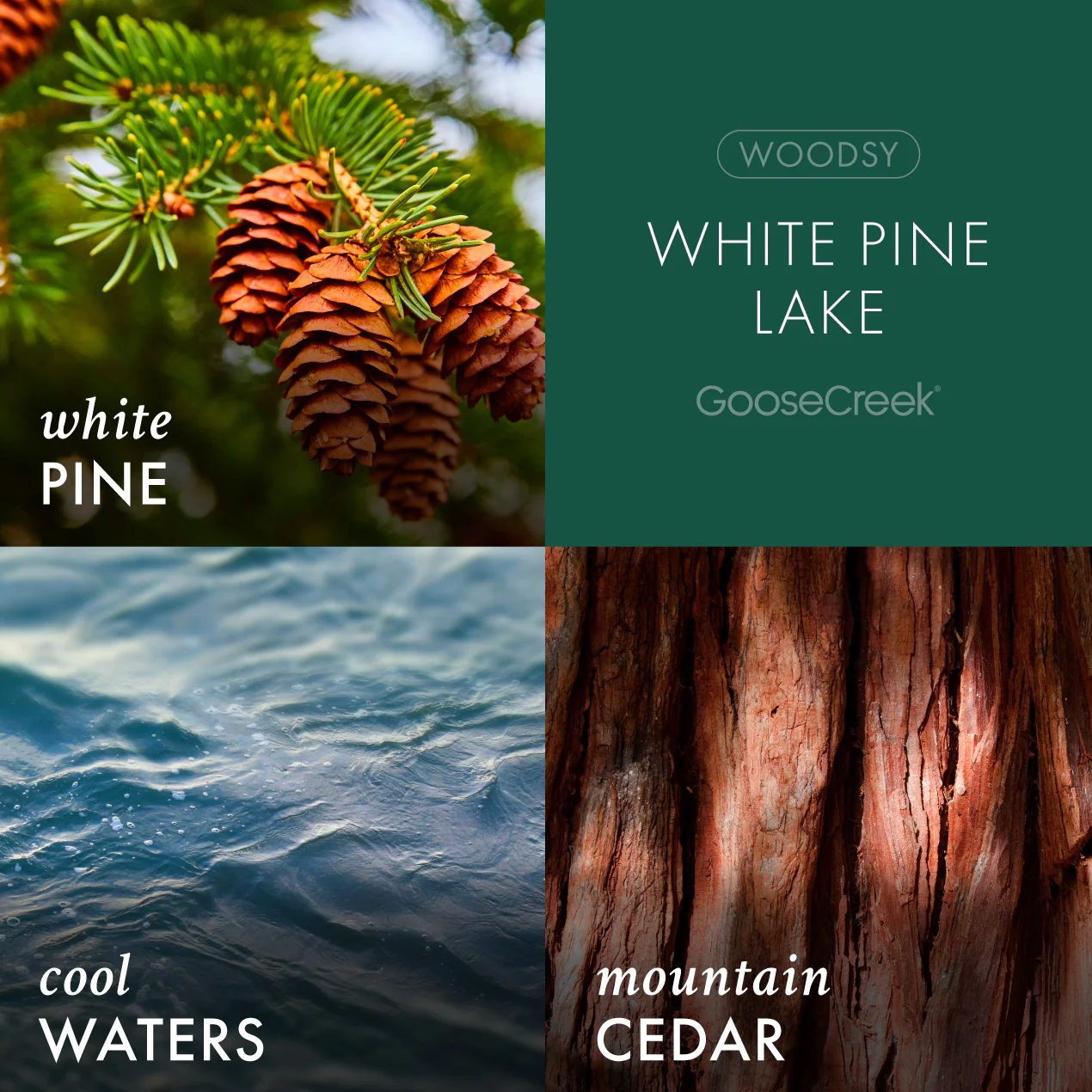 White Pine Lake 7oz Single Wick Candle - Image 2